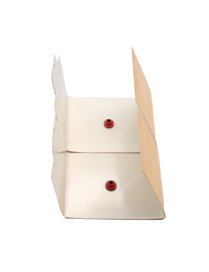 RAID PANTRY MOTH TRAP