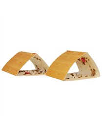 RAID PANTRY MOTH TRAP
