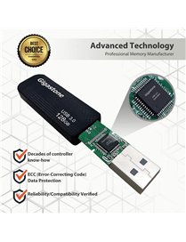 128G GGSTN USB FD