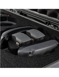 925 AVTA FPV CASE W/FM