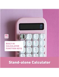 IZO BT/USB CALC W/R PBM