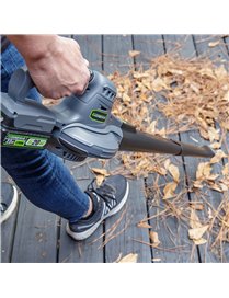 20V 2-SPEED BLOWER/SWPER
