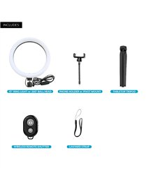10IN PHN RING LT TRPD STD