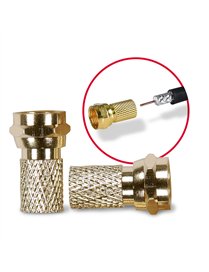 10PK GOLD PLT TWIST ONRG
