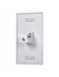 CAT5E/6 WALL PLATE SINGLE