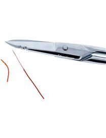 ELECTR SCISSORS W/ NOTCH