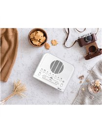 HD AM/FM RBDS CLK RDIO