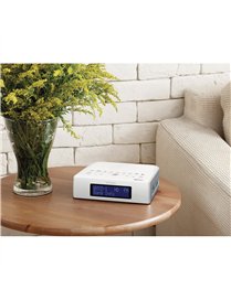 HD AM/FM RBDS CLK RDIO