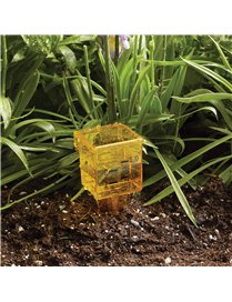 2IN1 RAIN GAUGE