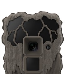 CAMERA NO GLO COMBO