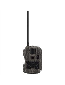 32MP TRANSMIT CELLR CAM