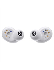 EARBDS W MULTIPT BT SIL