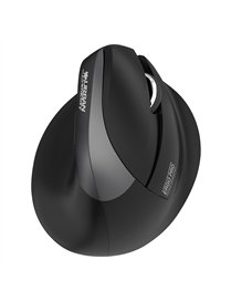 ERGO PRO BT/2.4GHZ VRT MS