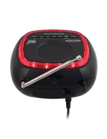 DIG WTHR ALRM RDIO W/ALRT