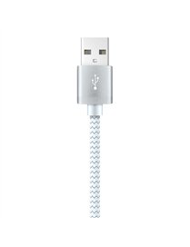10FT USBC CBL WHT