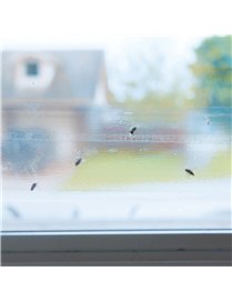 WINDOW FLY TRAP 4PK