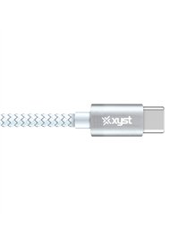 10FT BRD TYPE-C TO C CBL