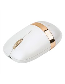 IZO BT RF-USB OPT MS WBM