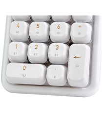 IZO BT/USB CALC W/B WBM