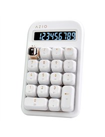 IZO BT/USB CALC W/B WBM