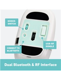 IZO BT RF-USB OPT MS MDY