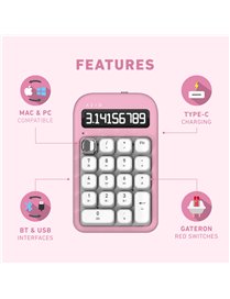IZO BT/USB CALC W/R PBM