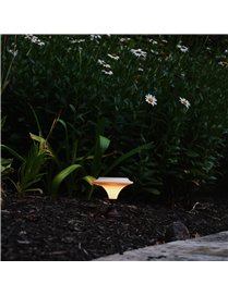 2PK SLR MARTINI LED LAMP