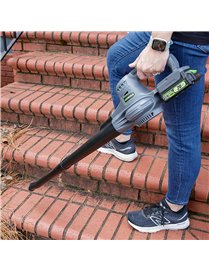 20V 2-SPEED BLOWER/SWPER