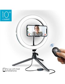 10IN PHN RING LT TRPD STD