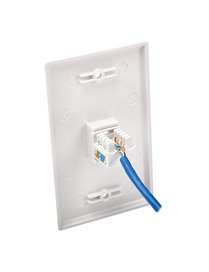 CAT5E/6 WALL PLATE SINGLE