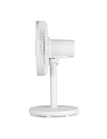 12IN DL BLD TBL FN W/RMT